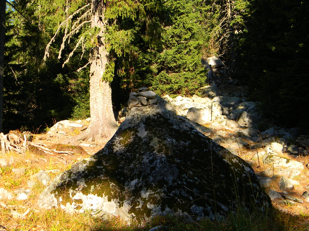 [DSCN31003.jpg]