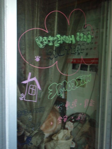 [catshomeday11%255B1%255D.jpg]