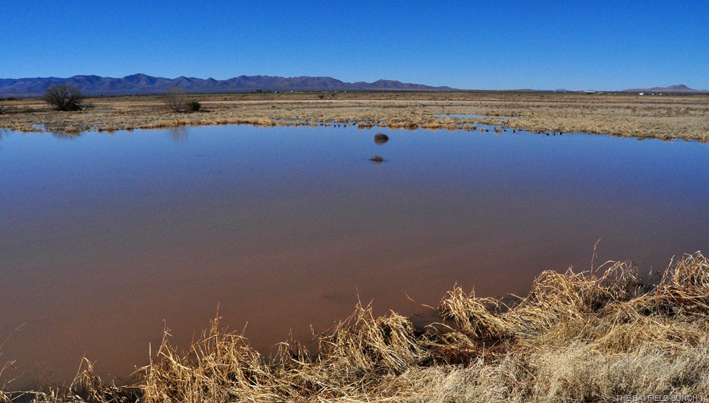 [DSC_0006%255B17%255D.jpg]