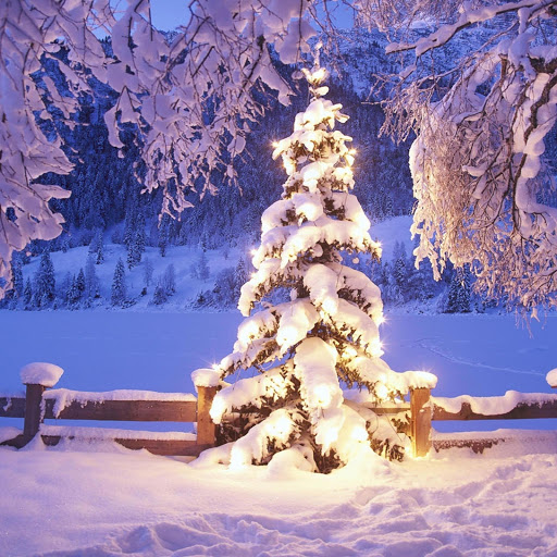 Hd-167833-ascw167833