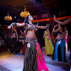 IMG_6930.jpg