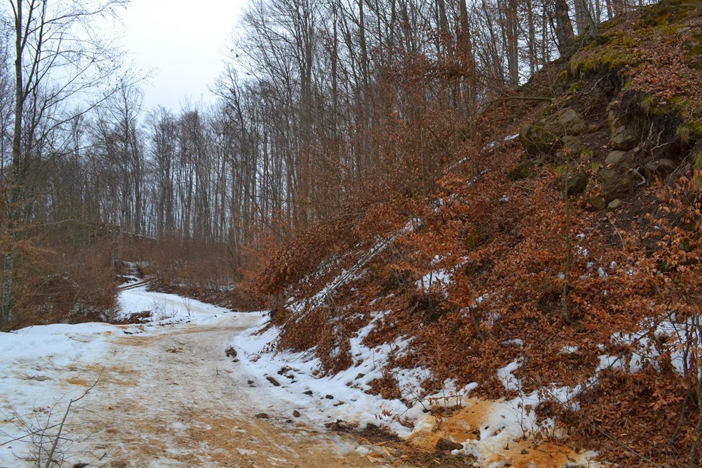 [DSC_23783.jpg]