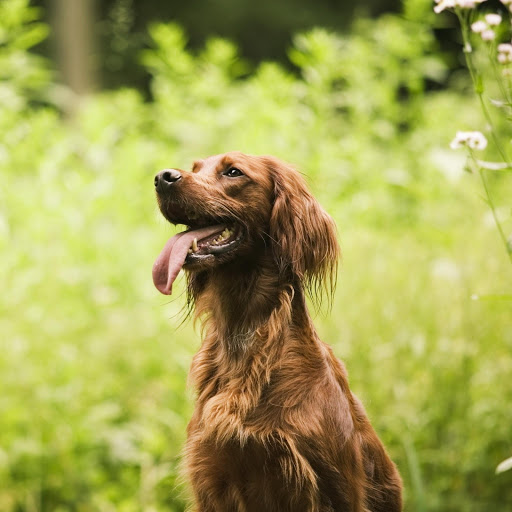 Hd-173695-ascw173695