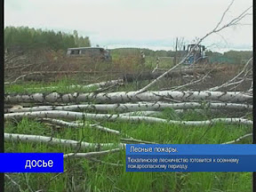 Лесные пожары Лесные пожары