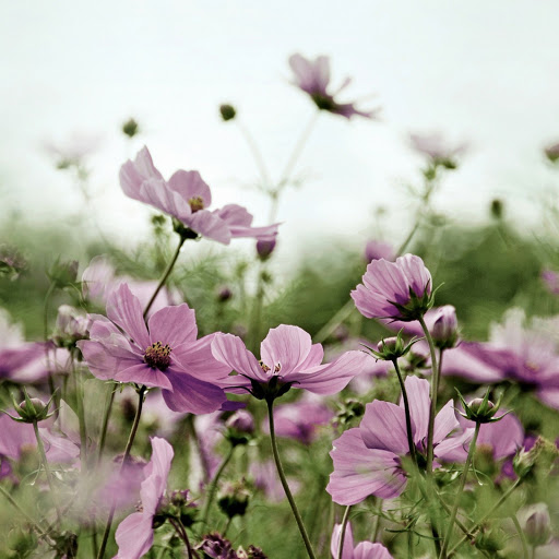 Hd-141968-ascw141968