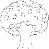 APPLE_TREE1_BW_thumb.jpg