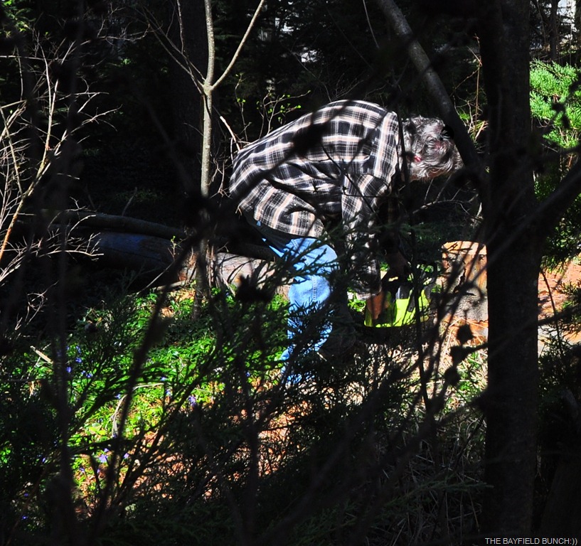 [DSC_0035%255B5%255D.jpg]