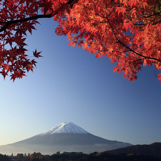 Hd-169553-ascw169553