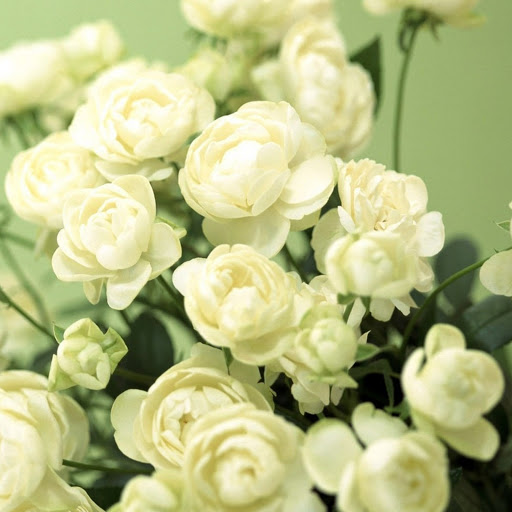 Hd-144278-ascw144278