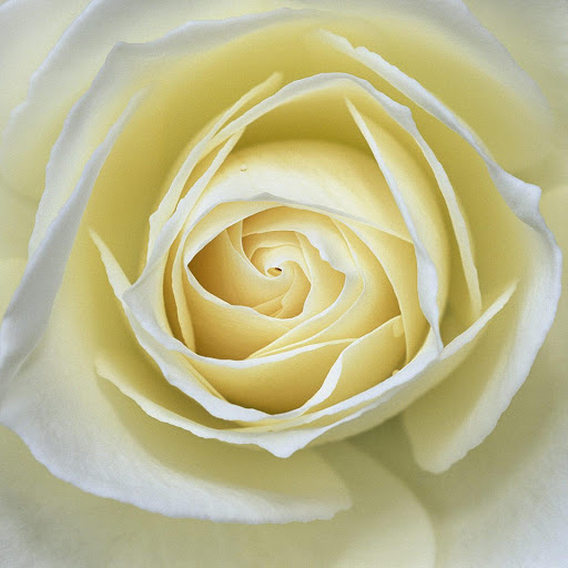 Hd-155133-ascw155133