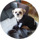 Image Google de Denise Zurek