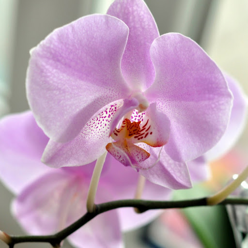 Hd-146586-ascw146586