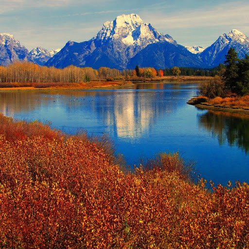 Hd-165118-ascw165118