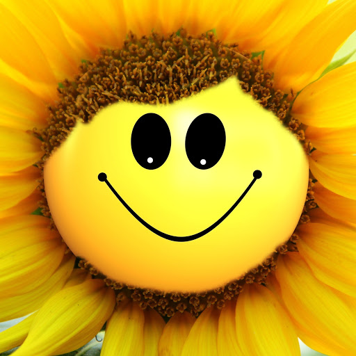 Hd-146655-ascw146655