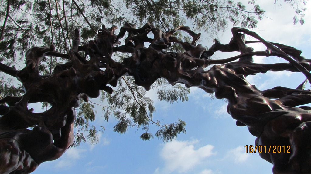 [IMG_1628%255B3%255D.jpg]