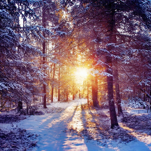 Hd-155427-ascw155427