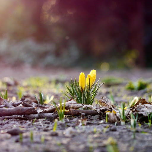 Hd-150659-ascw150659