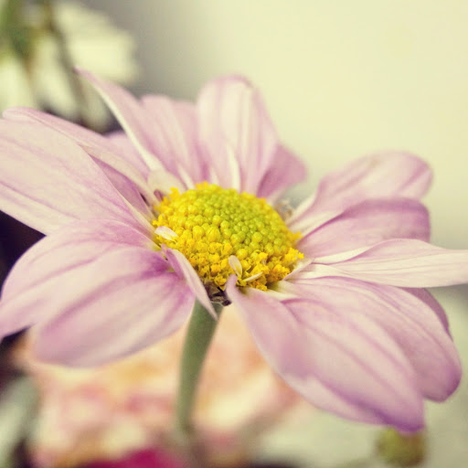 Hd-174161-ascw174161