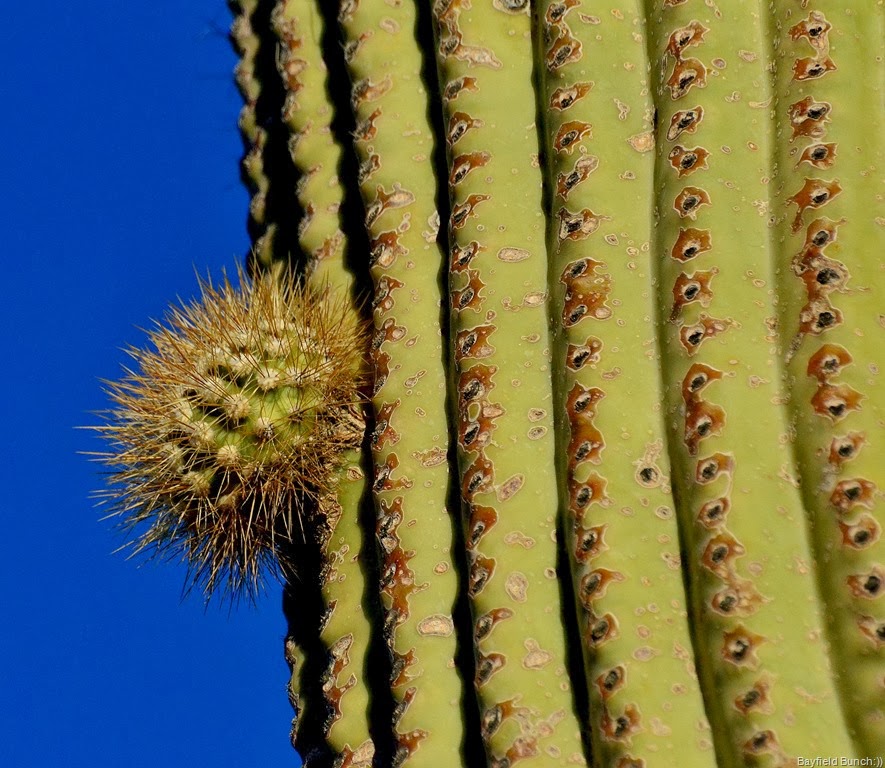 [DSC_0006%255B7%255D.jpg]