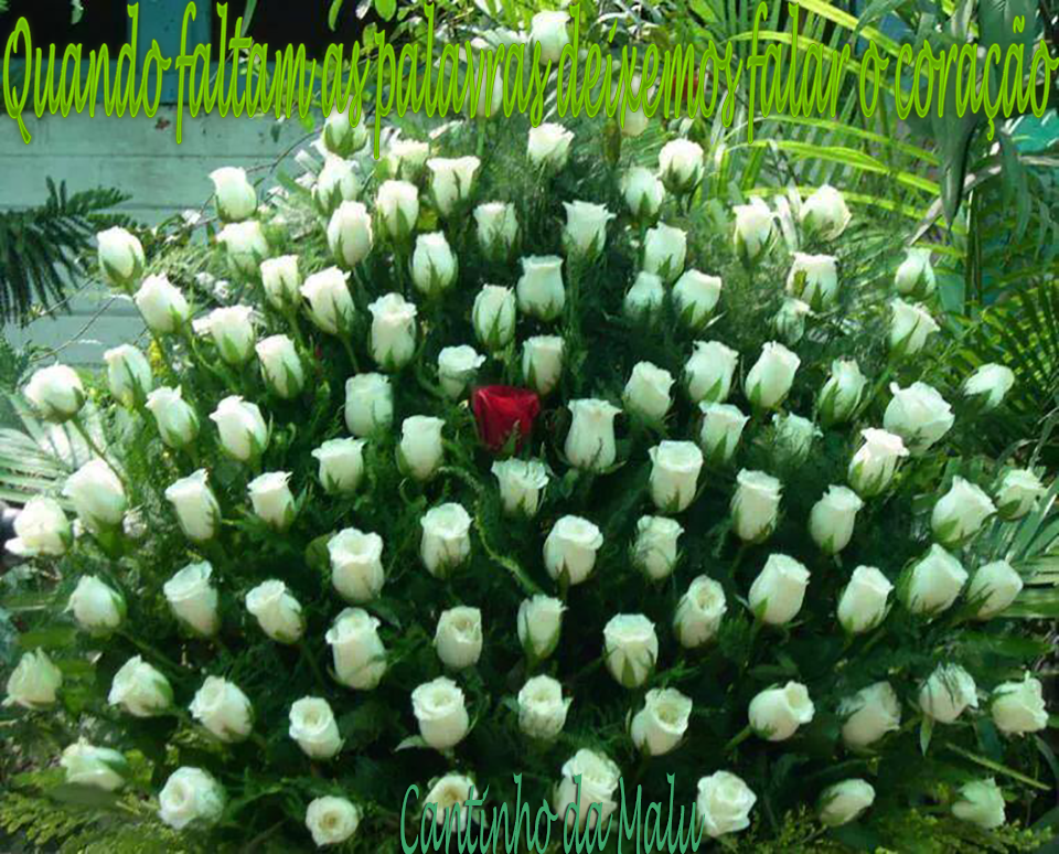 flores9.png