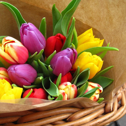 Hd-149213-ascw149213