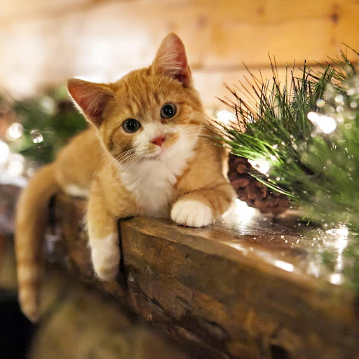 Hd-168948-ascw168948