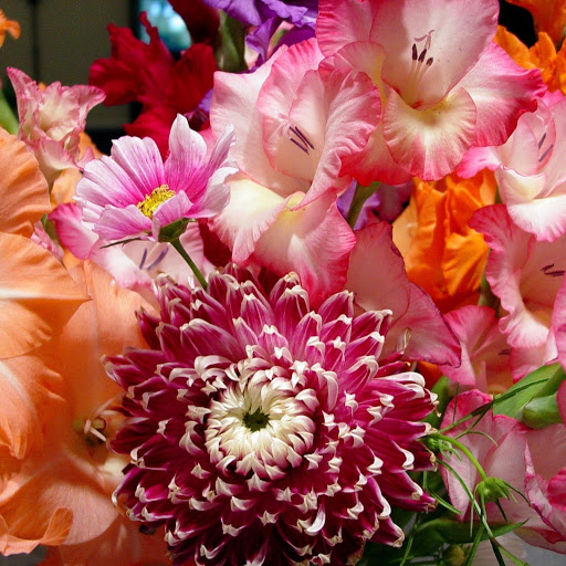 Hd-144923-ascw144923