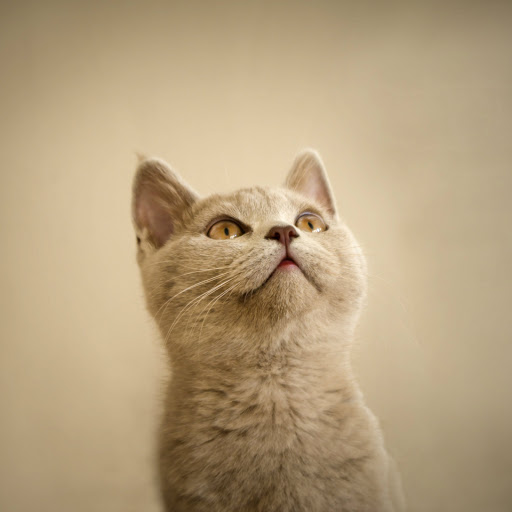 Hd-186304-ascw186304