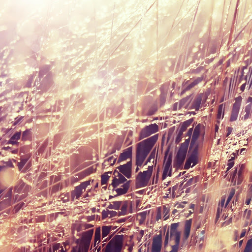 Hd-132345-ascw132345