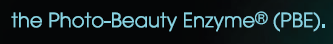 [image%255B13%255D.png.webp]