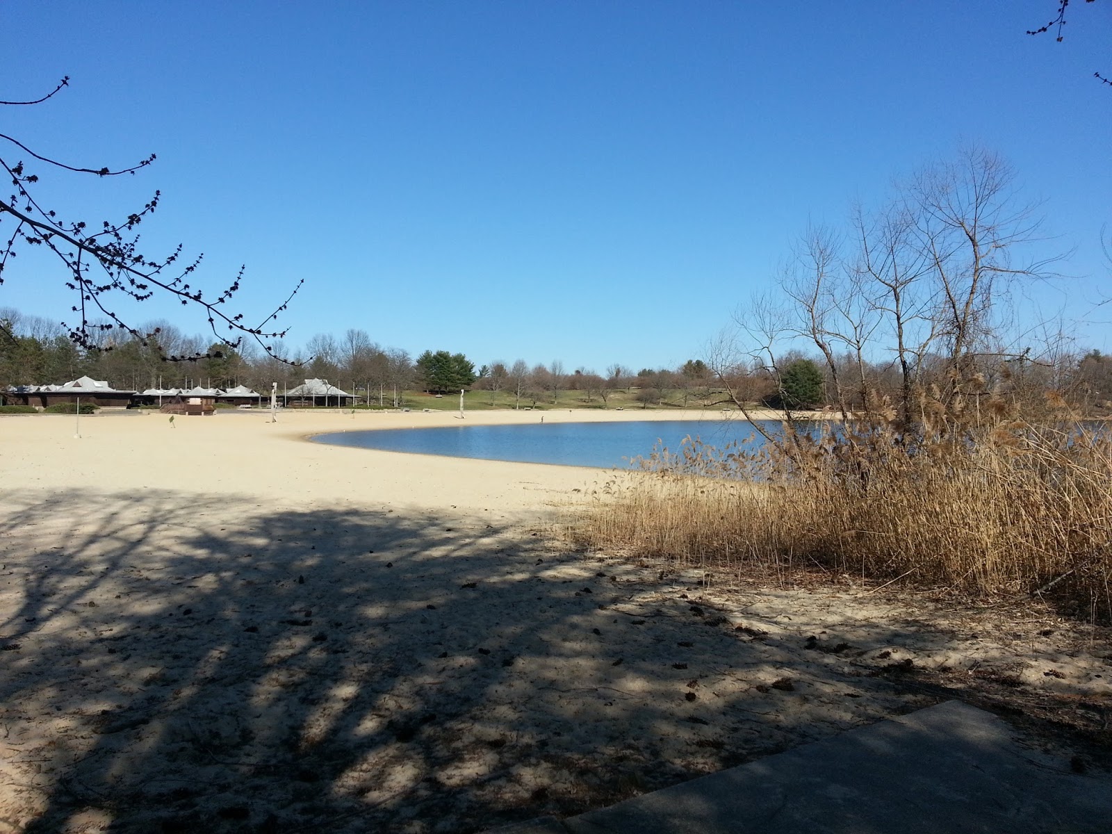 blue in green Spruce Run Lake New Jersey Fall 2013