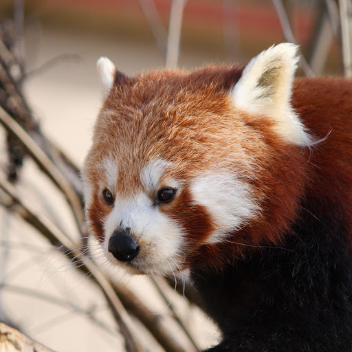 Hd-164668-ascw164668