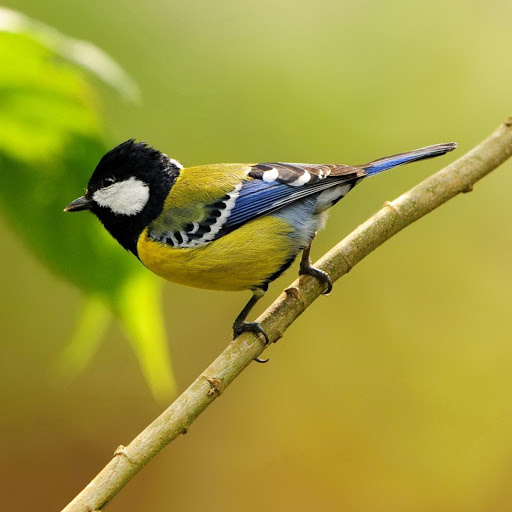 Hd-178922-ascw178922