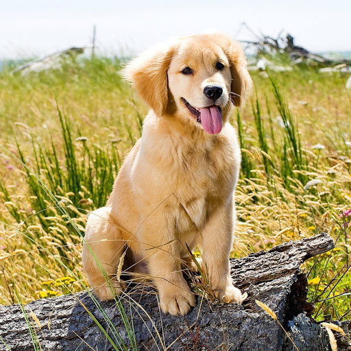 Hd-141771-ascw141771