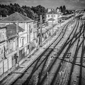 by Rui Silva - Transportation Railway Tracks