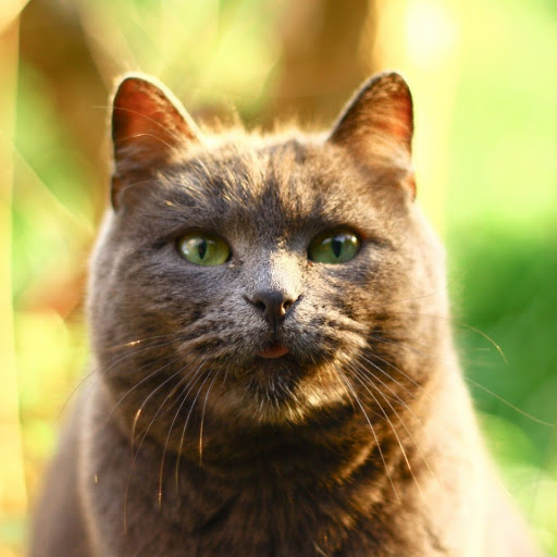 Hd-142995-ascw142995