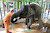 World's First Elephant Hospital in Thailand