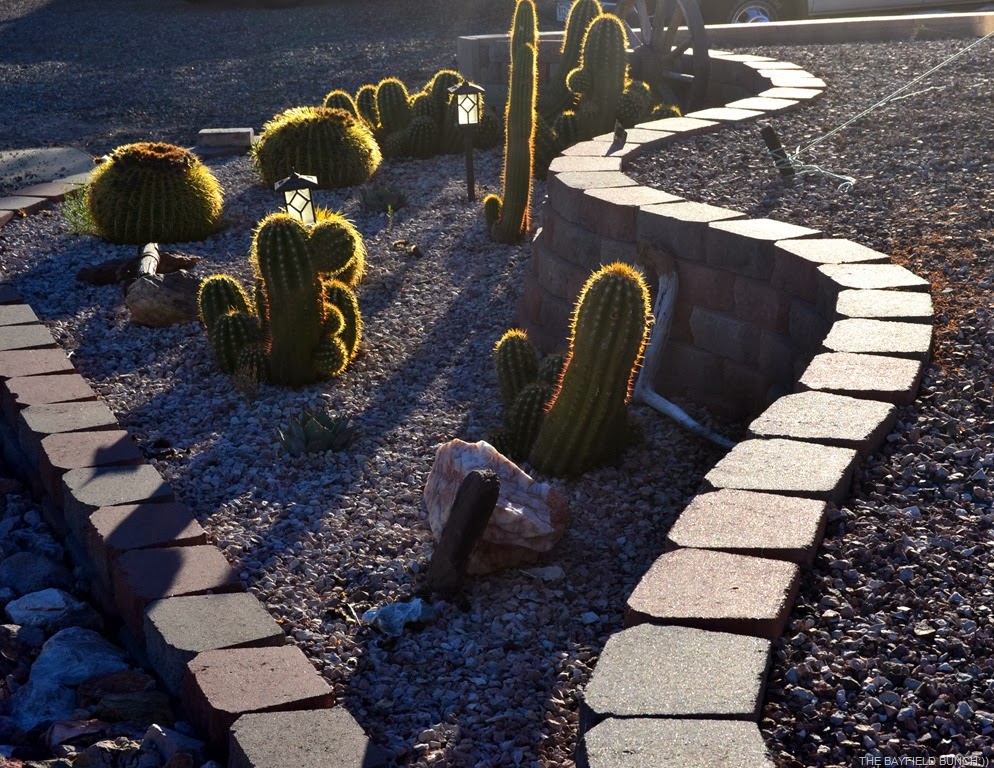 [DSC_0006%255B4%255D.jpg]