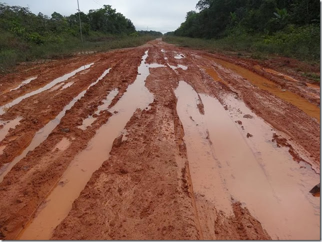 BR-319_Humaita_Manaus_Day_3_DSC05544