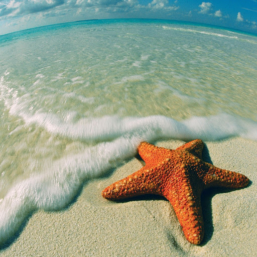 Hd-134920-ascw134920