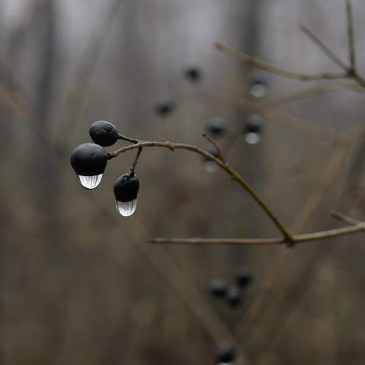 Hd-152510-ascw152510