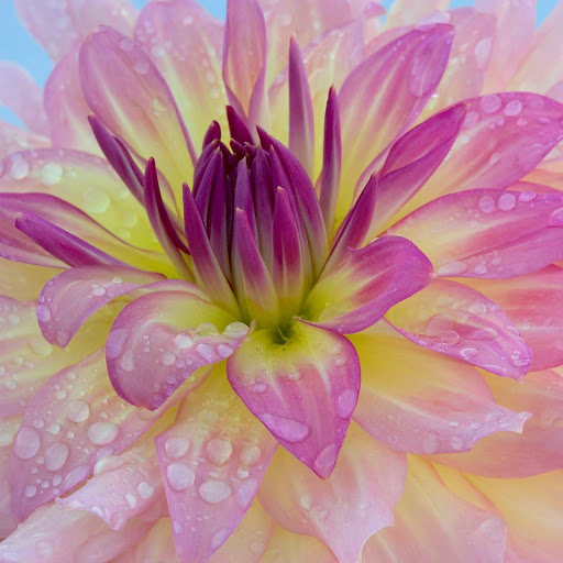 Hd-155137-ascw155137