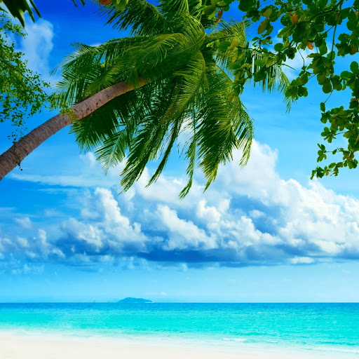 Hd-174923-ascw174923