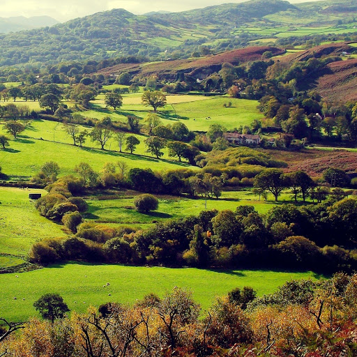 Hd-180779-ascw180779