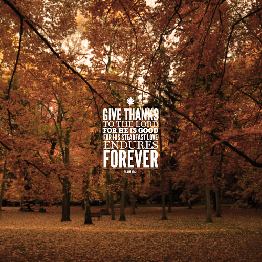 Hd-165092-ascw165092