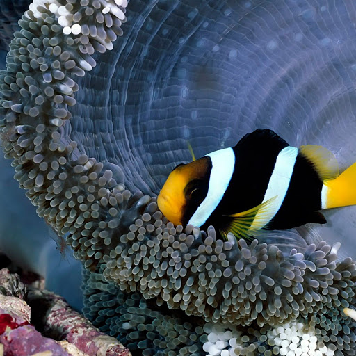 Hd-149440-ascw149440