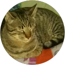 Lorena muñoz alcon profile picture
