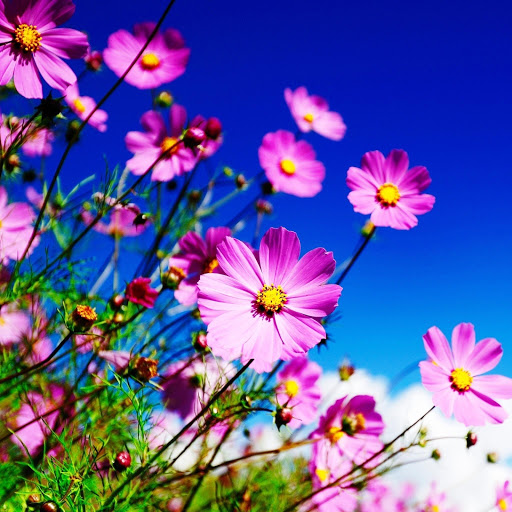 Hd-145897-ascw145897