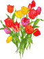 blume40 blume40