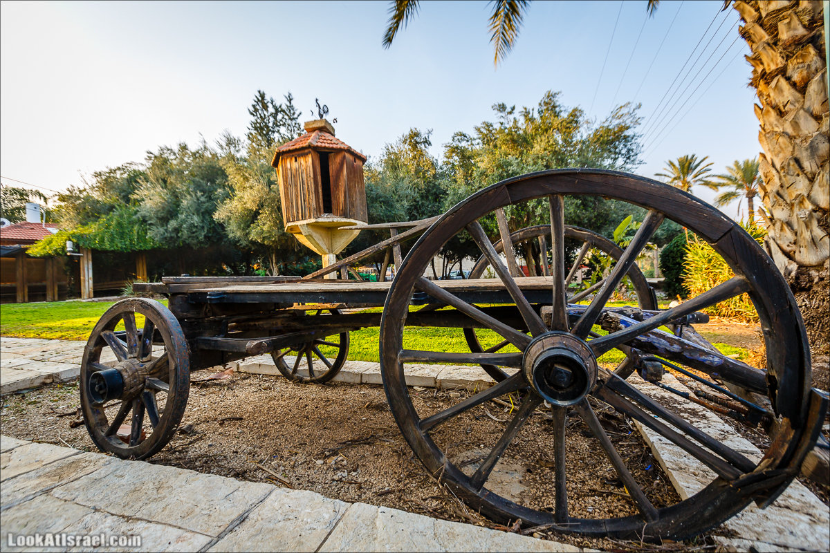 Менахемия - Козья Ферма Аз Из и медицинский музей Бейт ха-Рофе | Menahemia - As Is farm and medical museum | LookAtIsrael.com - Фото путешествия по Израилю | מנחמיה - חוות עז עיז ובית הרופא